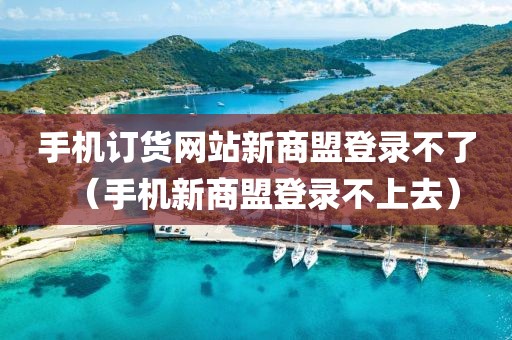 手机订货网站新商盟登录不了（手机新商盟登录不上去）